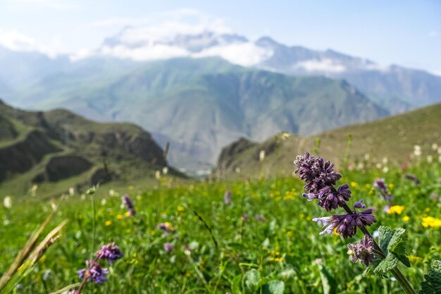 A mountain valley in the gorge of the CherekBalkar River in the vicinity of the Gymyhli tract Caucasus 2021