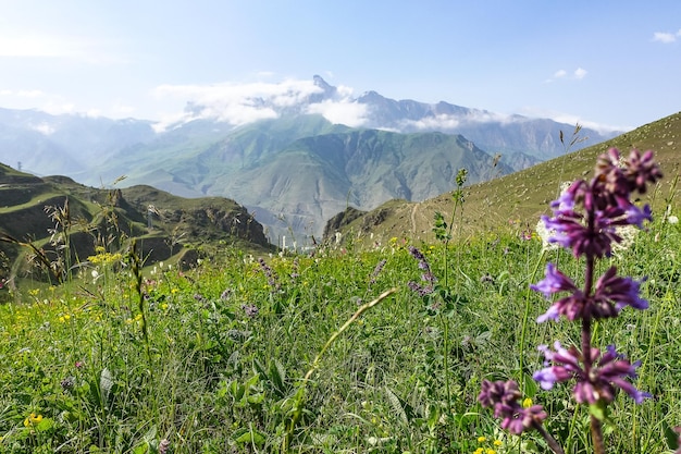 A mountain valley in the gorge of the CherekBalkar River in the vicinity of the Gymyhli tract Caucasus 2021