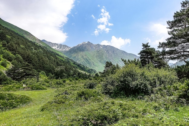 A mountain valley in the gorge of the CherekBalkar river in the vicinity of the Ushtulu tract Caucasus 2021