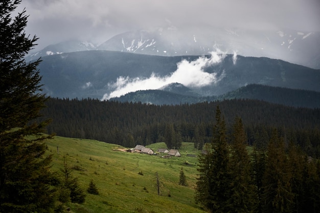 Mountain valley while rainy day foggy mountain hills Summer in Carpathian Mountains Ukraine