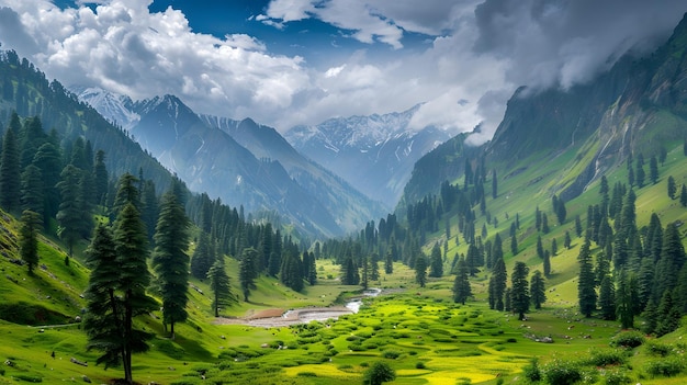 a mountain valley with a river and a green field