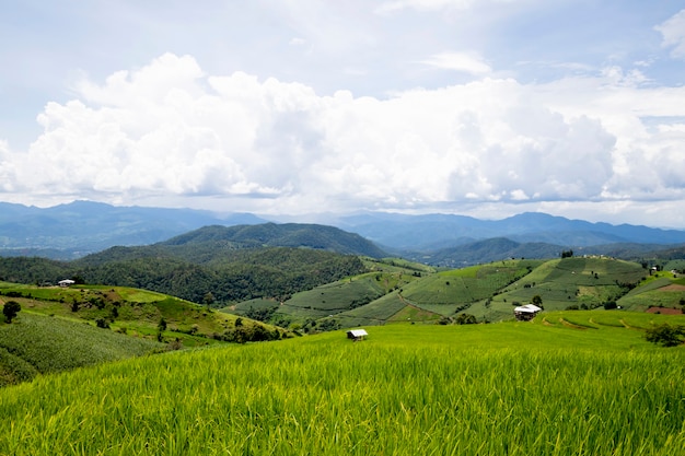 Mountain view on the top of the mountain at Ban Pa Pong Piengin Thailand