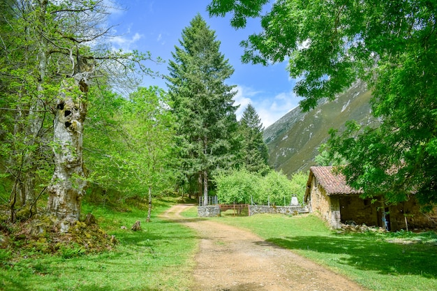 Mountain village in Cares Trekking Route, Asturias