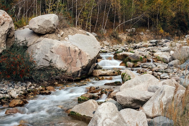 Mountain water stream with stony banks and some forrest in background