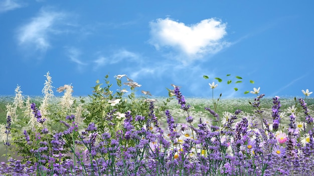 Mountain wild flowers blue sky and white clouds in heart shape wild field rainbow on blue sky