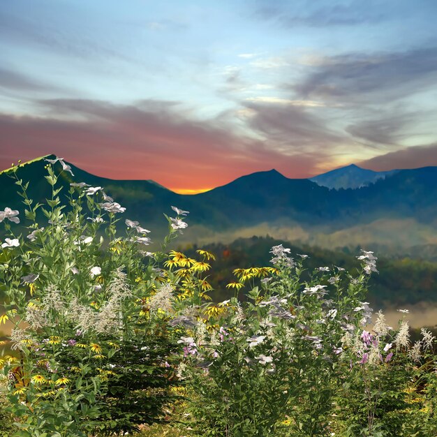 Mountain wild flowers blue sky and white clouds in heart shape wild field rainbow on blue sky