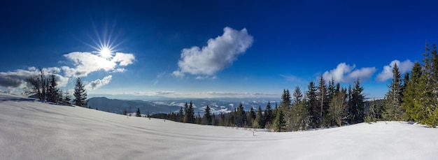 Mountain Winter Landscape Spruce Tree Forest Covered by Snow in Winter Landscape