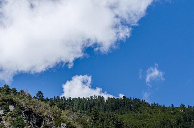 Mountain with forest and sky