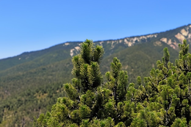 a mountain with a mountain in the background and a mountain in the background