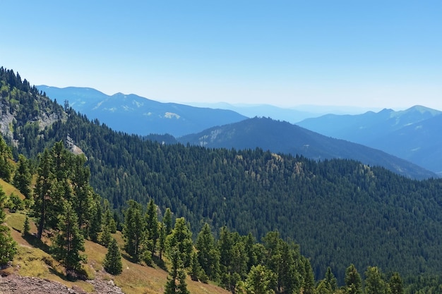 a mountain with trees on it and a blue sky