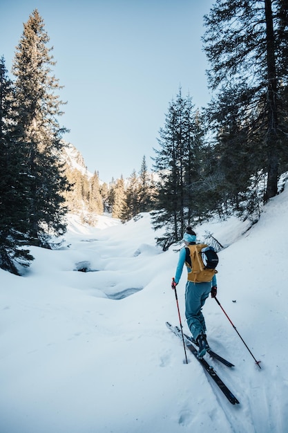 Mountaineer backcountry ski walking ski alpinist in the mountains Ski touring in alpine landscape with snowy trees Adventure winter sport