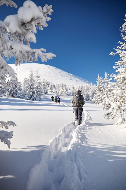 Mountaineer man in winter mountains Hiking in Carpathian mountains Ukraine Hoverla