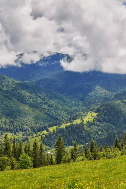 Mountainous landscape with forested hills beautiful summer