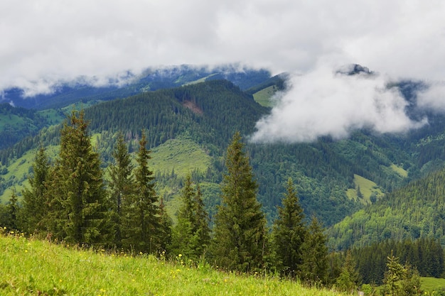 Mountainous landscape with forested hills beautiful summer