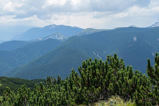 the mountains are the most popular destination for hikers