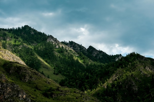 The mountains are overgrown with green trees Pine trees Christmas trees in the mountains Nature of Canada Nature of Russia The nature of the United States