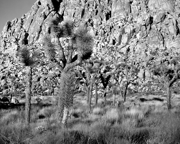 Mountains black and white photo background High mount rocks and hills landscape