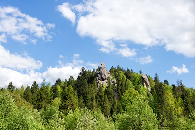 In the mountains. Carpathians, Ukraine