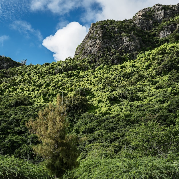 Mountains, cliffs and blue skies in the rainy season of Thailand.