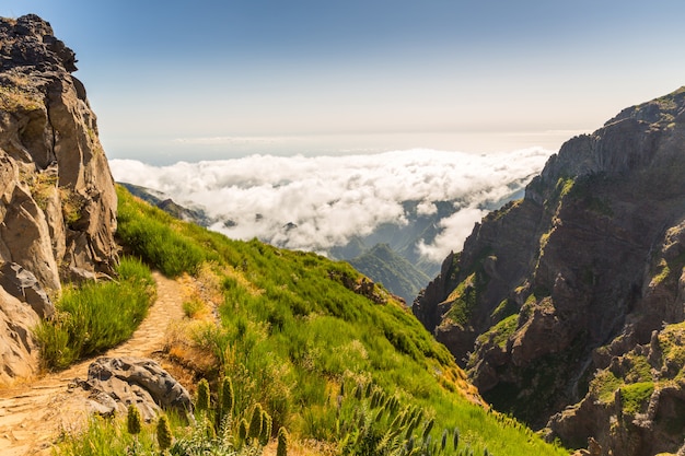 Mountains in clouds