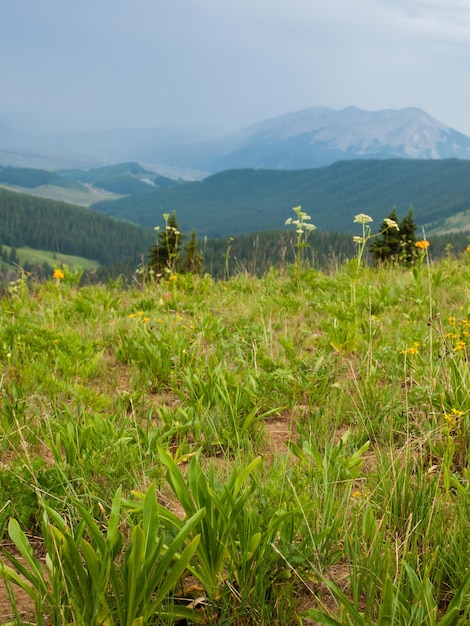 Mountains in Crested Butte, Colorado.