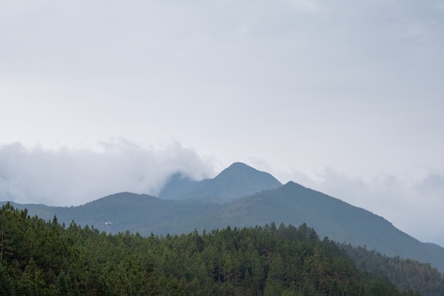 The mountains in the distance were filled with fog