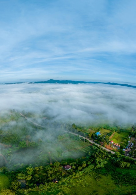 Mountains in fog at beautiful autumn in Phetchabun Thailand Fog mountain valley low clouds forest colorful sky with pine trees in spruce foggy forest with bright sunrise