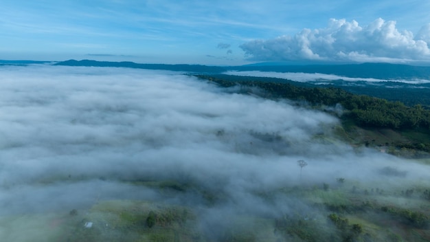 Mountains in fog at beautiful autumn in Phetchabun Thailand Fog mountain valley low clouds forest colorful sky with pine trees in spruce foggy forest with bright sunrise