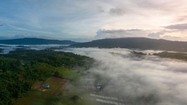 Mountains in fog at beautiful autumn in Phetchabun Thailand Fog mountain valley low clouds forest colorful sky with pine trees in spruce foggy forest with bright sunrise