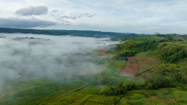 Mountains in fog at beautiful autumn in Phetchabun Thailand Fog mountain valley low clouds forest colorful sky with pine trees in spruce foggy forest with bright sunrise