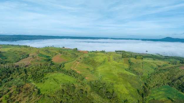 Mountains in fog at beautiful autumn in Phetchabun Thailand Fog mountain valley low clouds forest colorful sky with pine trees in spruce foggy forest with bright sunrise