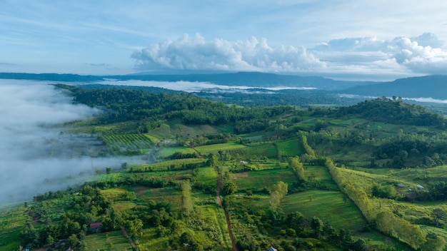 Mountains in fog at beautiful autumn in Phetchabun Thailand Fog mountain valley low clouds forest colorful sky with pine trees in spruce foggy forest with bright sunrise