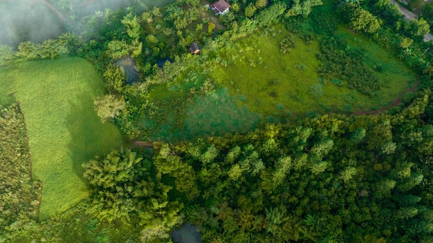 Mountains in fog at beautiful autumn in Phetchabun Thailand Fog mountain valley low clouds forest colorful sky with pine trees in spruce foggy forest with bright sunrise