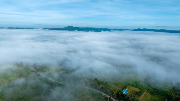 Mountains in fog at beautiful autumn in Phetchabun Thailand Fog mountain valley low clouds forest colorful sky with pine trees in spruce foggy forest with bright sunrise