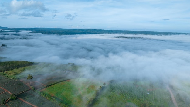 Mountains in fog at beautiful autumn in Phetchabun Thailand Fog mountain valley low clouds forest colorful sky with pine trees in spruce foggy forest with bright sunrise