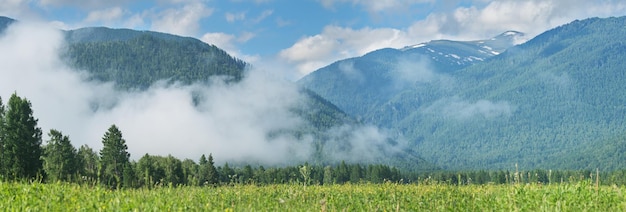 Mountains in the fog panoramic rural view morning mist summer