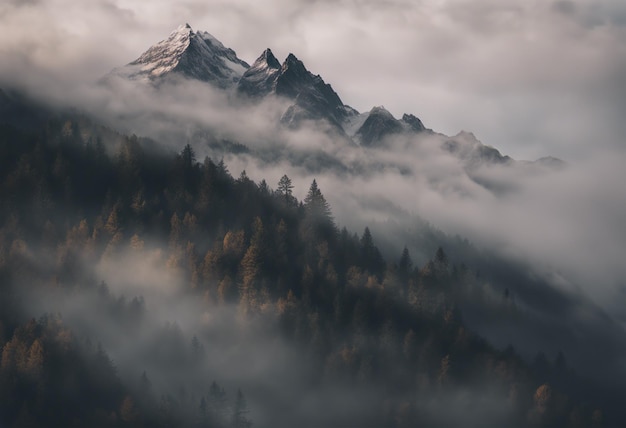 Mountains in the fog