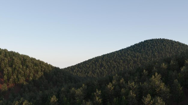 mountains and gorges covered with coniferous forest, 3d render