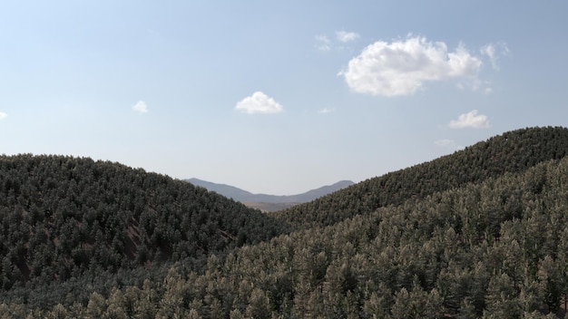 mountains and gorges covered with coniferous forest, 3d render