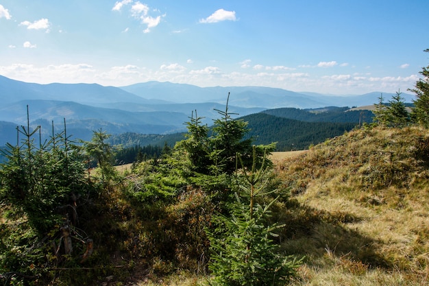 Mountains and green forest picturesque scenery.