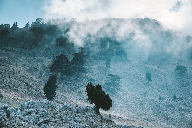 Mountains landscape