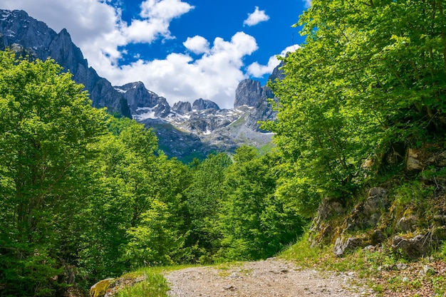 In the mountains lies a winding rocky road.