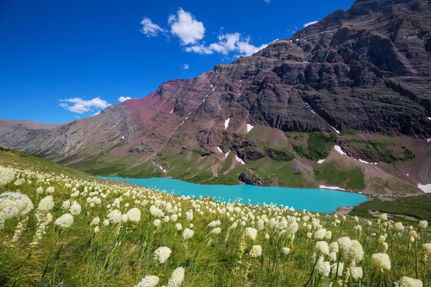 Mountains meadow