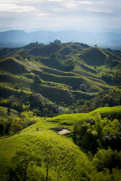 Mountains in Quindio region Colombia