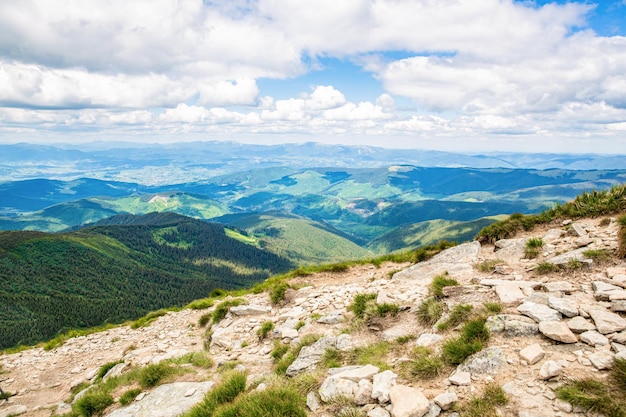 Mountains ridge high rocky peaks Mountain landscape with hiking trail Mountain path Springtime landscape in mountains Landscape in green meadows and blooming flowers and snowcapped mountain