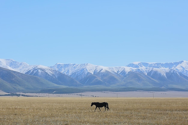 mountains snowy peaks background, landscape view winter nature peaks