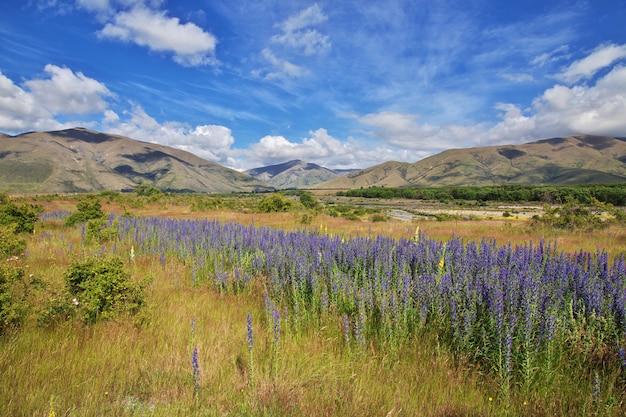 Mountains of South island, New Zealand