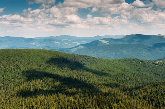 Mountains in summer