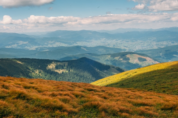 Mountains in summer