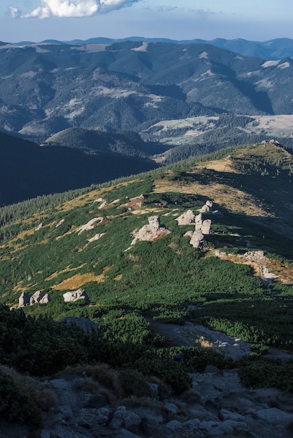 The mountains on a sunny day with clouds and coniferous forest.